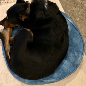 Cool Indigo Dog Bed Covers